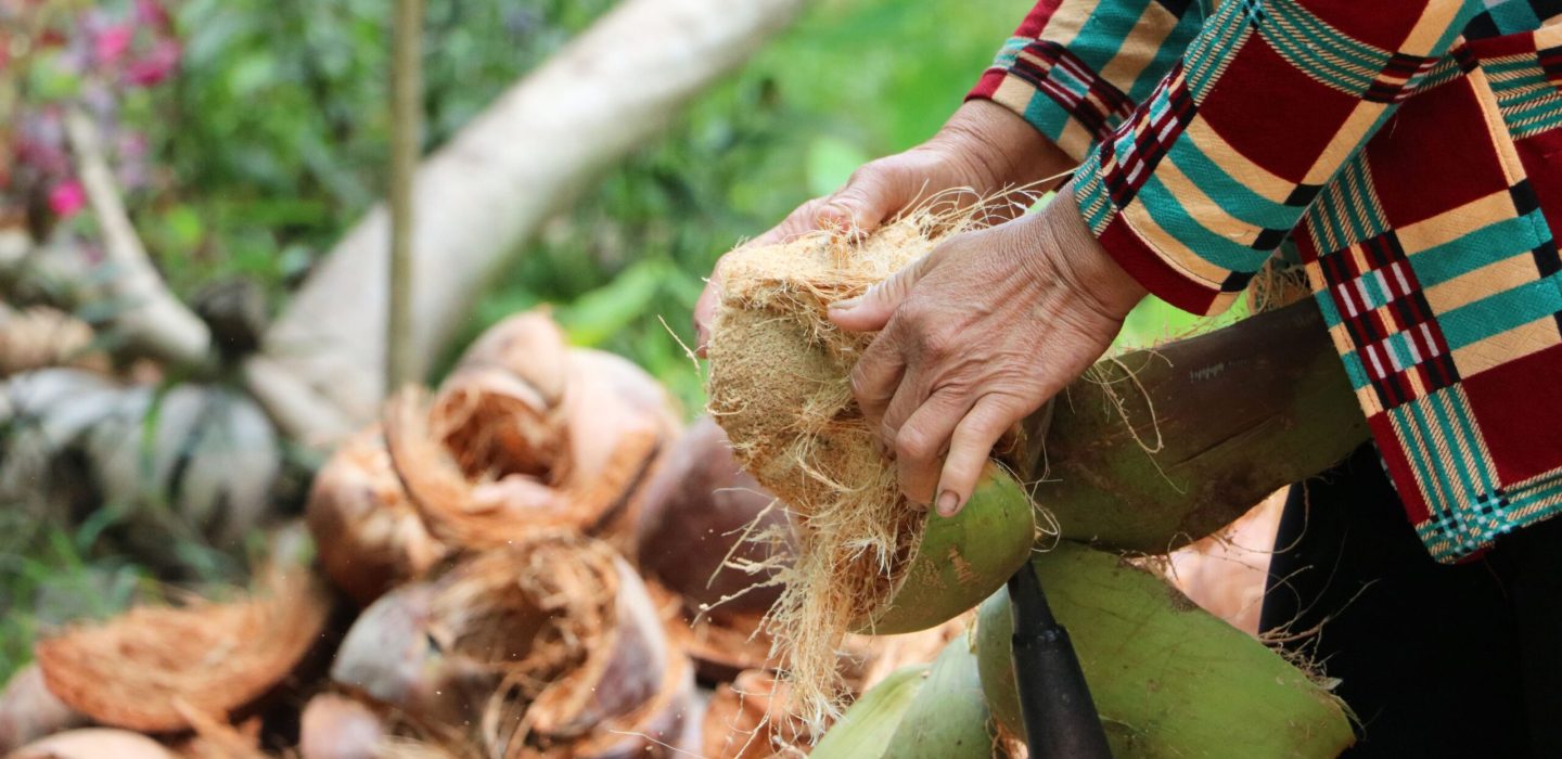 close-up-traditional-processing-coconuts-mekong-delta