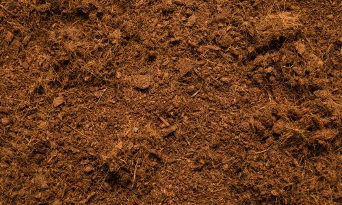 coconut-substrate-background-top-view coconut-substrate-background-top-view