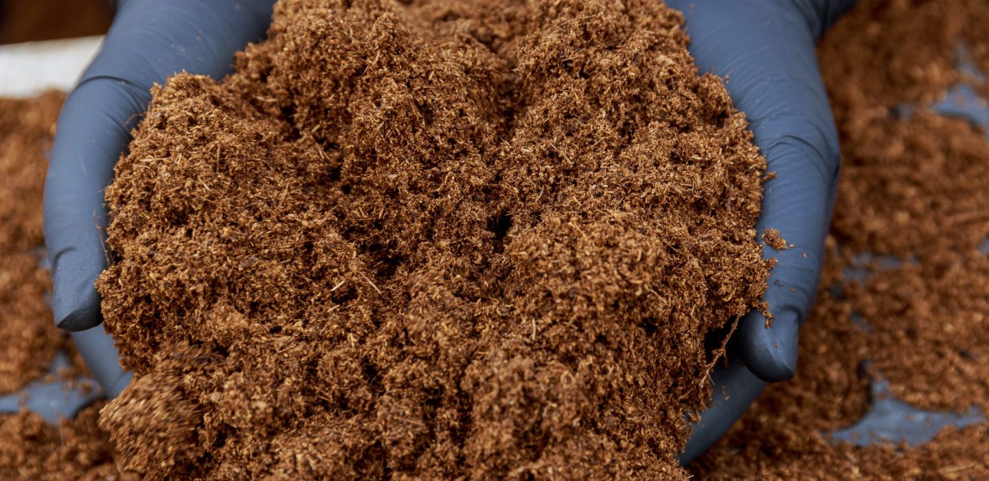 pile-peat-hands-woman-filling-containers-sowing-with-fertile-soil